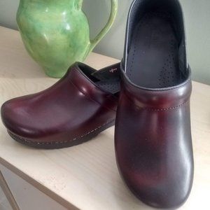 Sanita Men's Professional Clog